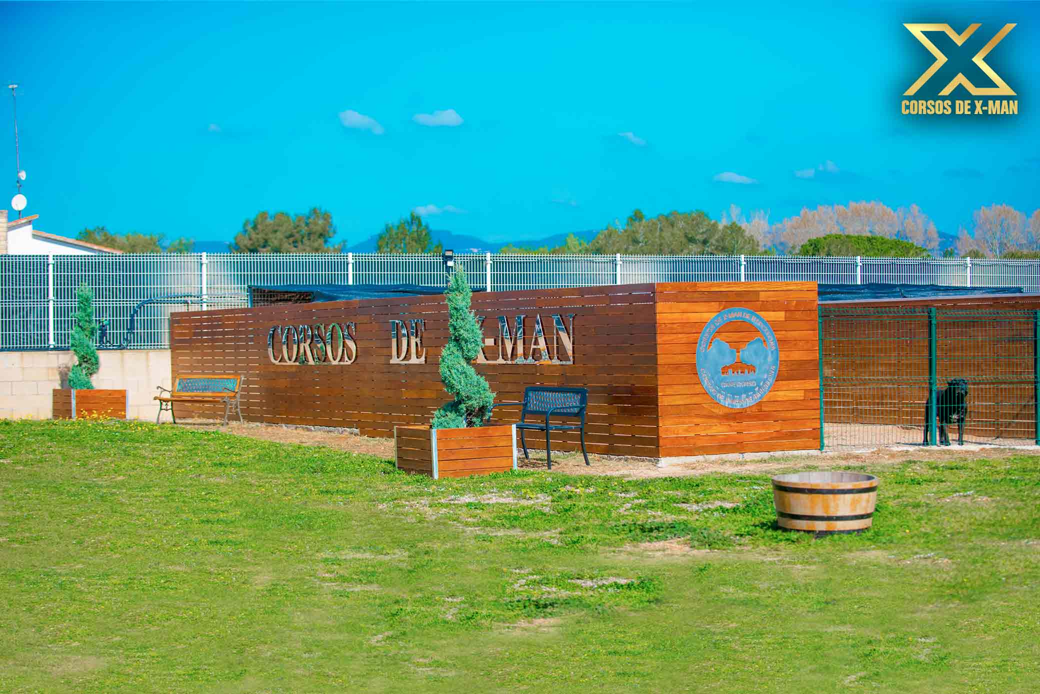 criadero de mastín italiano kennel