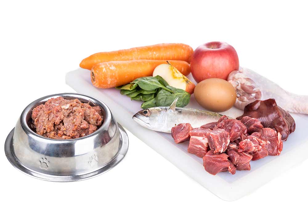 dieta barf perro mastín italiano cane corso
