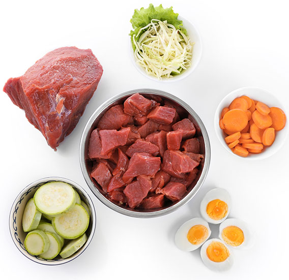 mastin italiano alimentación y dieta
